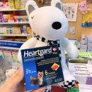 3층파란문약국 이미지