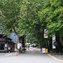 평양초계탕 막국수 이미지