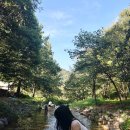 성주봉자연휴양림 경북 계곡 물놀이 수영장 캠핑 후기 ft. 야영데크 예약, 취사, 주차