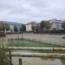 관광민박 | 뮌헨 한인민박 훈민박 숙박 후기｜가성비 청결 한식 모두 비추천