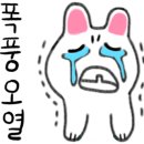 아이비피티 이미지