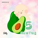 애플미용재료 | 임신 16~20주차 일상 | 입덧 변화·첫태동·배크기·정밀초음파 기록