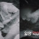 삼풍 이미지