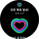 다막 이미지