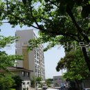 송월주공아파트 이미지