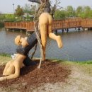 쌍암농장 이미지