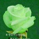 동구릉로 이미지