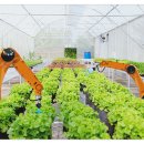 스마트팜 이미지