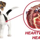 동래종합동물병원 이미지