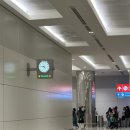 185 | 에미레이트 항공 A380 EK185 바르셀로나행 비즈니스석 이용 후기(+ 두바이 비즈니스 라운지)_2탄
