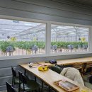 매지밀 딸기농장 이미지