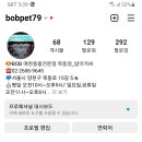 비오비애완용품목동점