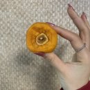 양반상회