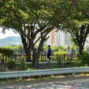 이문1제방 이미지