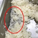 수백식당 이미지