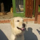 루비노펜션 이미지