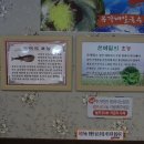 유가네왕만두
