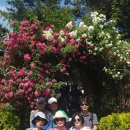 남해-184 이미지