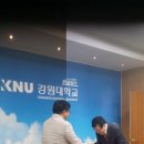 (주)맵플 티스토리