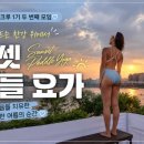 비본어뉴