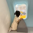 다양하개 | 김포공항 국내선 어린이놀이터 이용후기 아기랑 비행기 타기 전 에너지 방전 성공