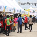 제29회 제주유채꽃큰잔치 및 제3회 우도소라축제 이미지