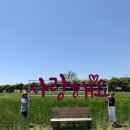 제주도 미니버스투어 &#39;오천이쁜이들&#39; 후기