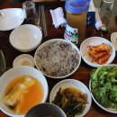 불미골오리 이미지