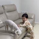 더베이커 - 안양시 동안구 부림로 123 | 더베이커