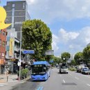 관악전치과의원 네이버블로그