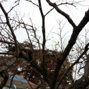 갈현3리 이미지