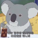 하이;돼지