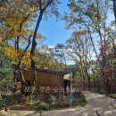 휴 | 서울 노원구 수락산 동막골 자연휴양림 수락휴 가을 숙박후기 햇살정원