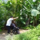 세종 도시와 자동차 이미지