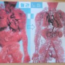 수제정원 이미지