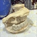 엠치과의원 이미지