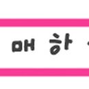 스키클럽엑스 이미지