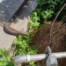 이마트에브리데이 부산구포점 이미지