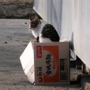 강변편의점