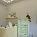 고양이 미용실 이미지