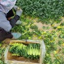 정주네농장 이미지