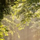 가족과 함께하는 도자기체험 이미지