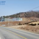에이스팜 주식회사 네이버블로그
