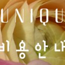 주니끄