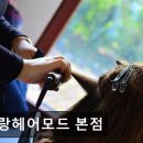 아랑미용실 - 연천군 | 아랑미용실