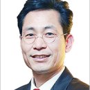 313 이미지