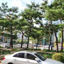 고수의운전면허방이역점