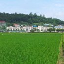 옥봉초등학교 이미지