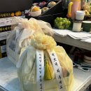 푸른농산 | 내돈내산 가락시장 과일바구니 이바지 상견례 명절 선물 우주농산 할인꿀팁