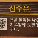 논현중앙근린공원 이미지